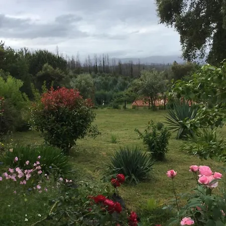 Quinta Do Pereiro, - 40.314837n 7.985658w Σπίτι διακοπών Venda do Porco