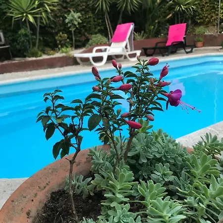 Σπίτι διακοπών Quinta Do Pereiro, - 40.314837n 7.985658w