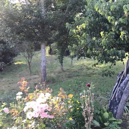 Quinta Do Pereiro, - 40.314837n 7.985658w Σπίτι διακοπών