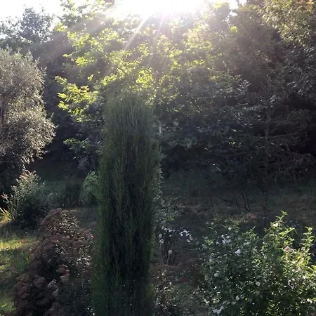 Σπίτι διακοπών Quinta Do Pereiro, - 40.314837n 7.985658w *