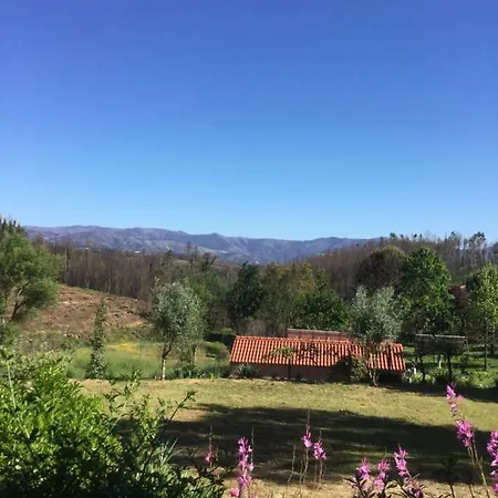 Quinta Do Pereiro, - 40.314837n 7.985658w * Venda do Porco