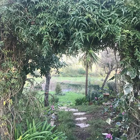Quinta Do Pereiro, - 40.314837n 7.985658w Σπίτι διακοπών *